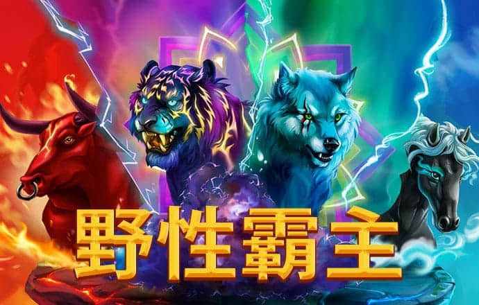 哈哈体育app官方网站